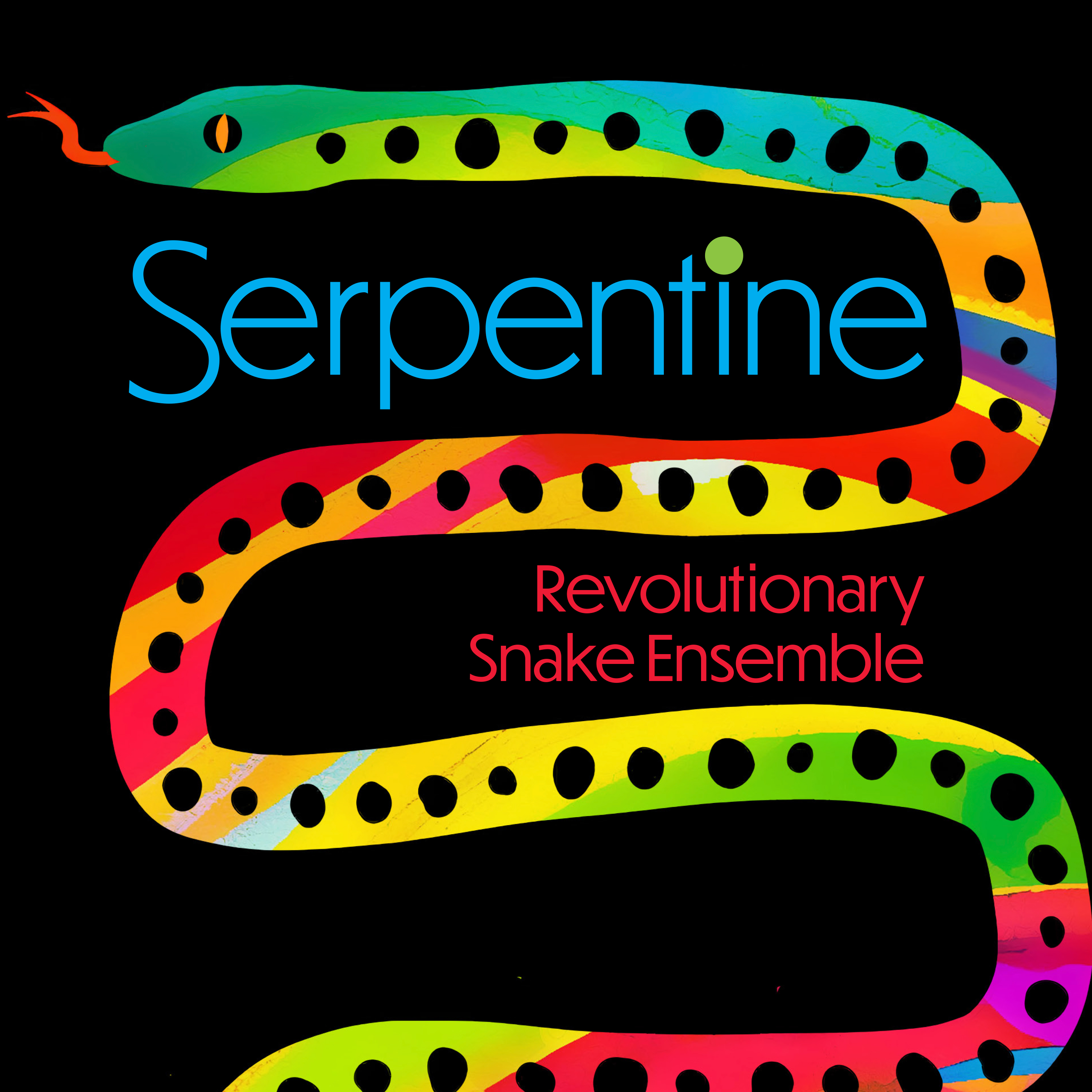 Revolutionary Snake Ensemble 5th album 